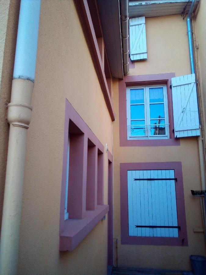 L'Oasis Maisonnette Centre Ville 3 Chambres Terrasse Espace Vert Prive Parc Sainte Croix Center Parc 20 Minutes Sarrebourg Luaran gambar
